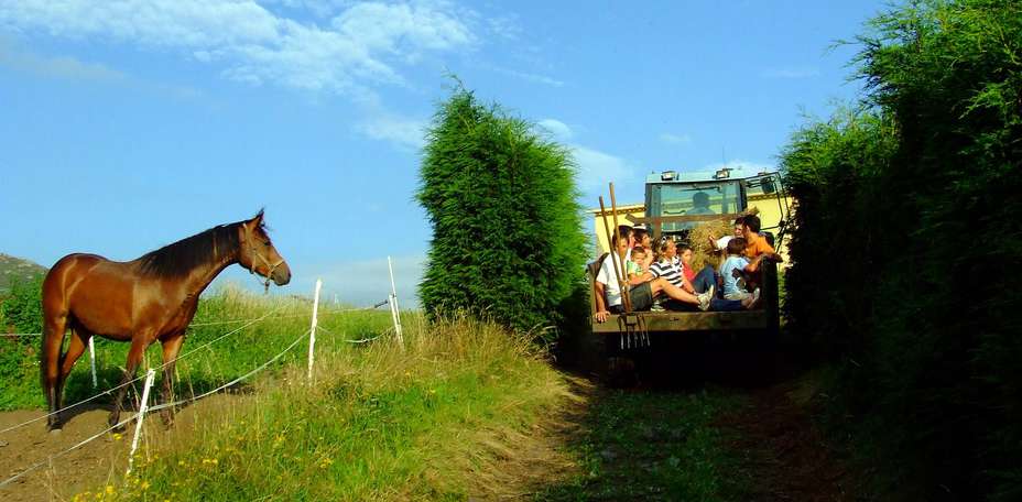 Hotel Rural Yeguada Albeitar - 