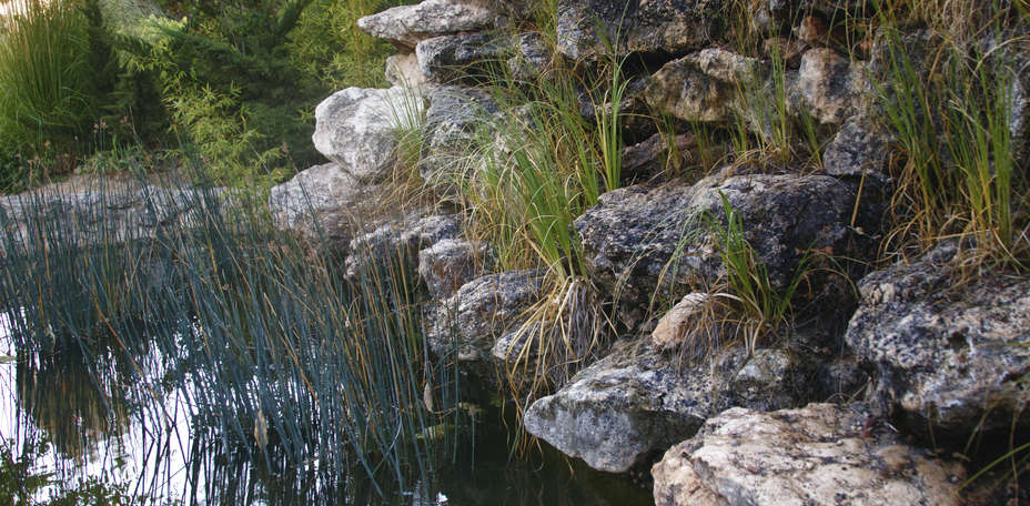 Finca Mirador El Encinar de Haldudo - 