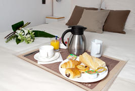Golden Tulip Troyes - 