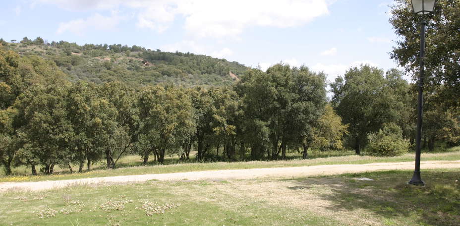 Hotel & Resort Sa Rocca - 