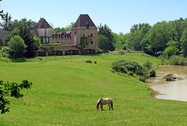 Manoir du Grand Vignoble - Paysage