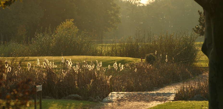 Domaine Saint Hilaire  - 