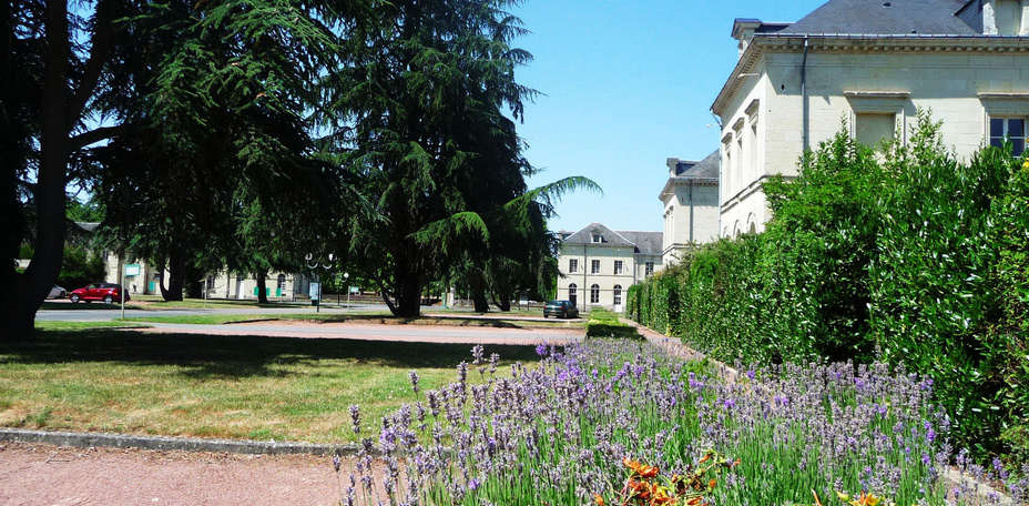 Domaine Saint Hilaire  - 