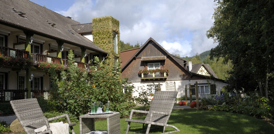 Hostellerie La Cheneaudière - 