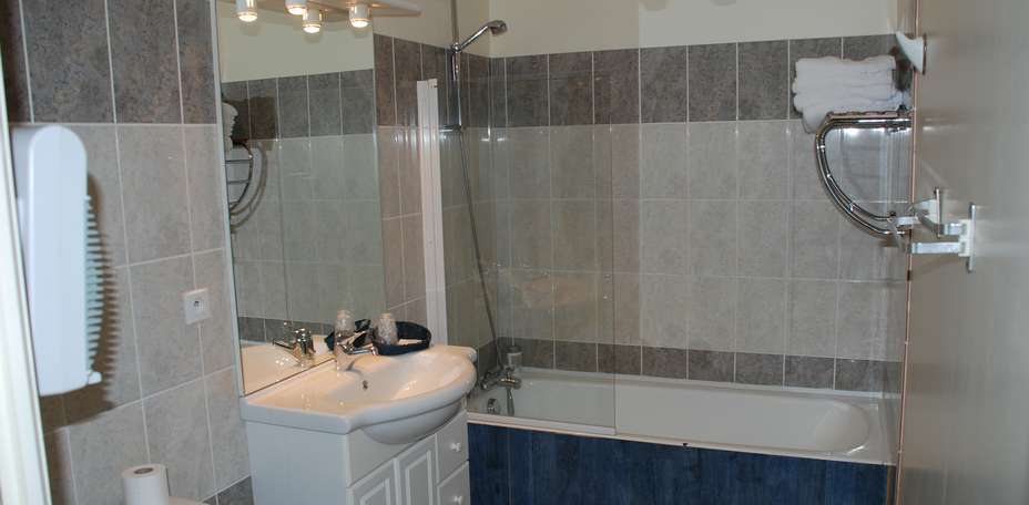 Le Cygne - 