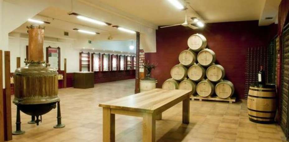 Hotel Palacios - 