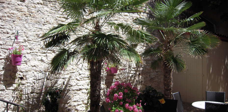 Hôtel Georges VI - 
