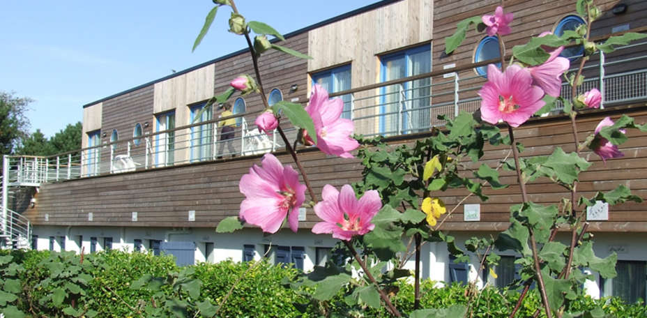 Hôtel Les Argousiers - 