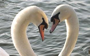 Week end romantique:tombez amoureux sur les rives du lac de Côme (2 nuits)