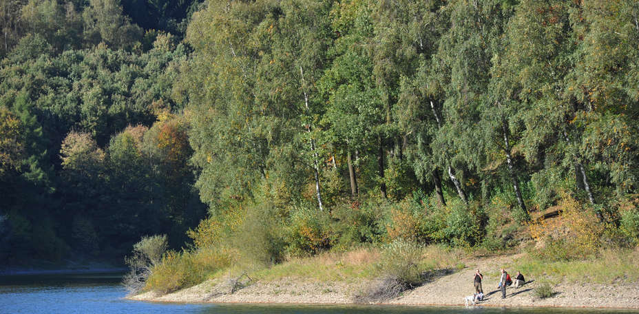 Welcome Hotel Hennesee Meschede - 
