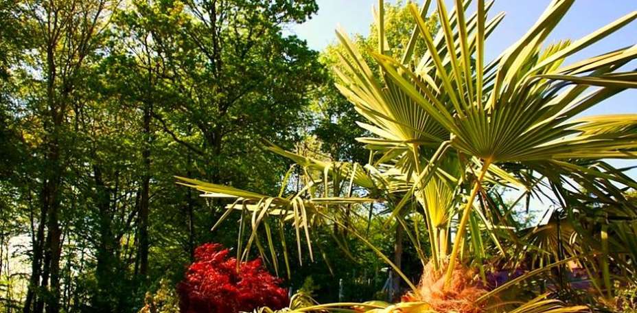 Le Domaine des Chevaliers de Malte - 