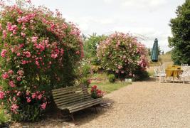 Manoir de la Branche - 