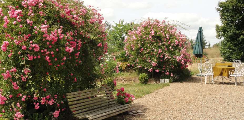 Manoir de la Branche - 