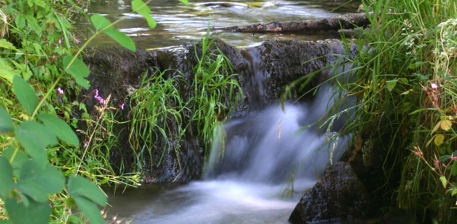 Parc des Fées  - 