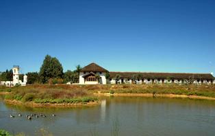 Escapada Romántica con caballos y cena en Doñana para dos