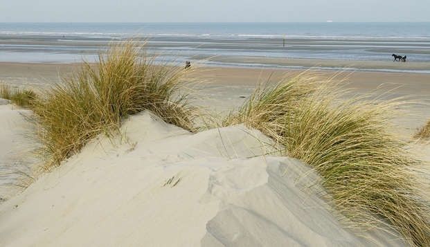 hotel Domein WesthoekOostduinkerke