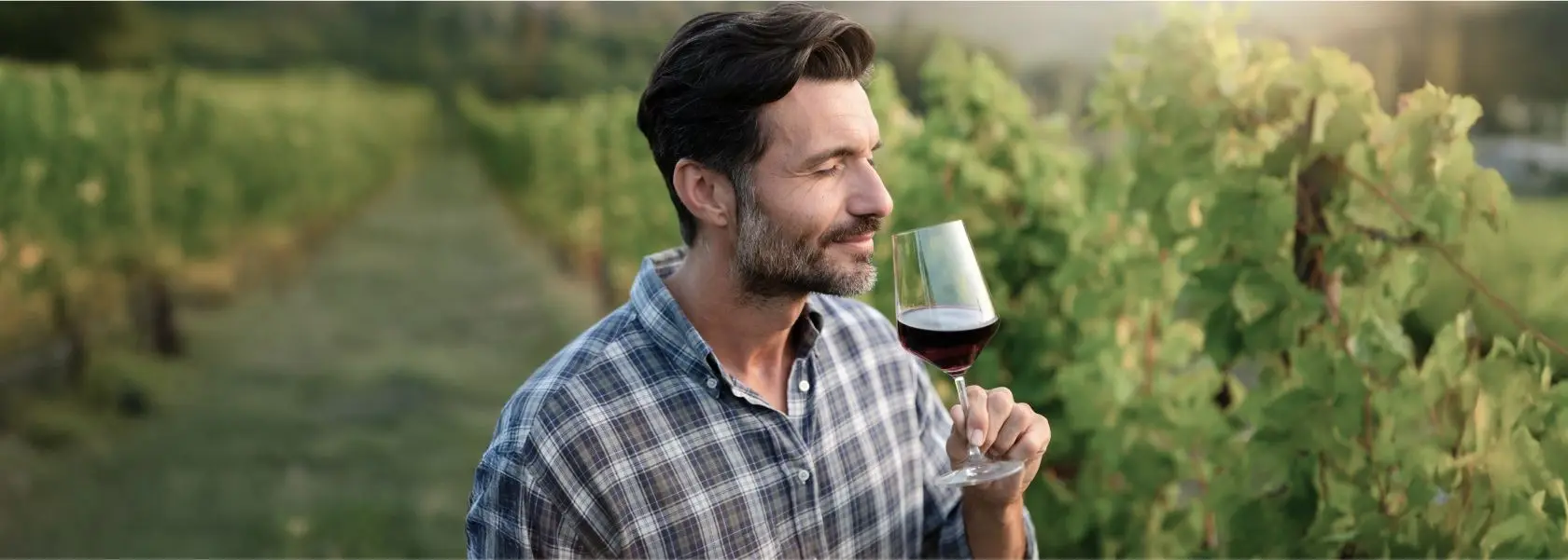 Man smiling, holding a glass of red wine in a sunny vineyard.