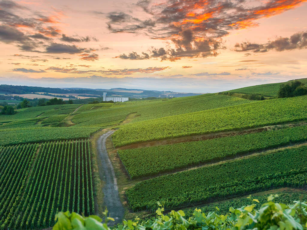 Découverte de la Champagne avec dîners inclus, visite de cave et bouteille offerte ! - 3* - 1