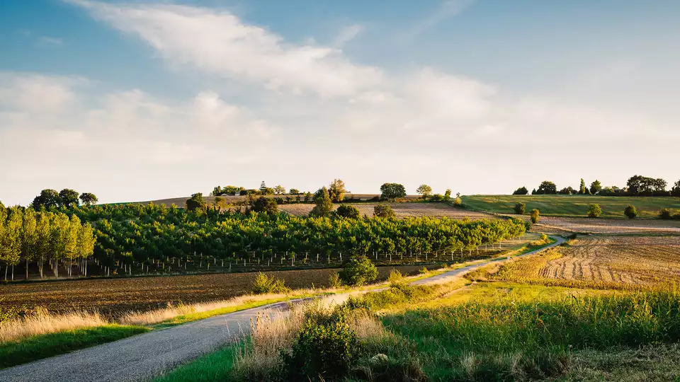 Week-end romantique au milieu des etoiles avec diner regional au c ur de la Gascogne nuits min