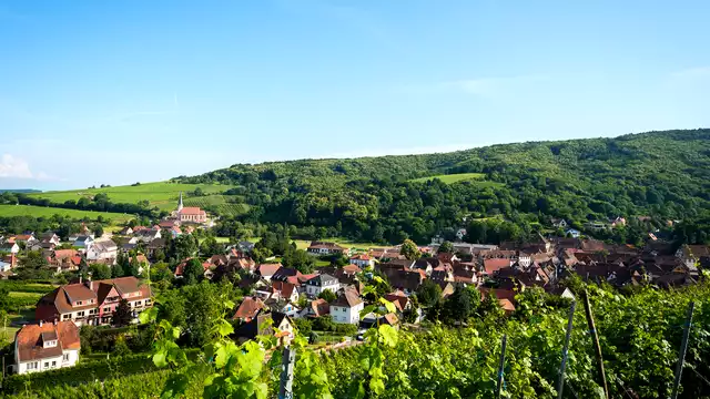 Séjour avec dîner inclus au coeur des vignes