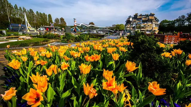 Découvrez La Haye et le parc miniature de Madurodam
