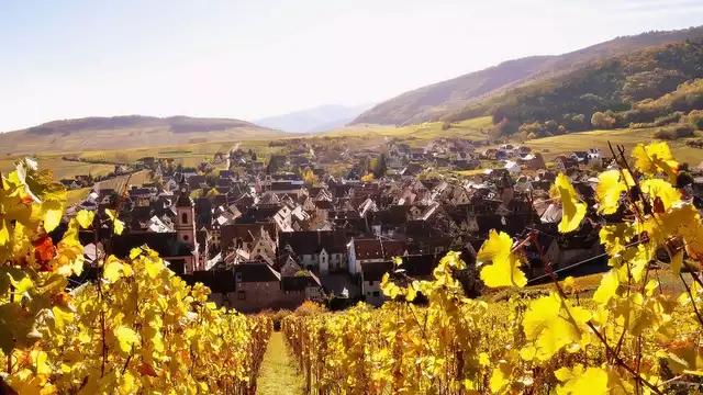 Partez à la découverte de l'Alsace avec le pass'Alsace 24h inclus et un dîner