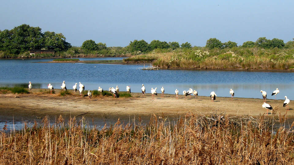 Week-end dans le Bassin d Arcachon