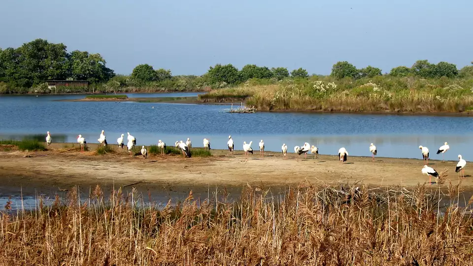 Week-end dans le Bassin d Arcachon