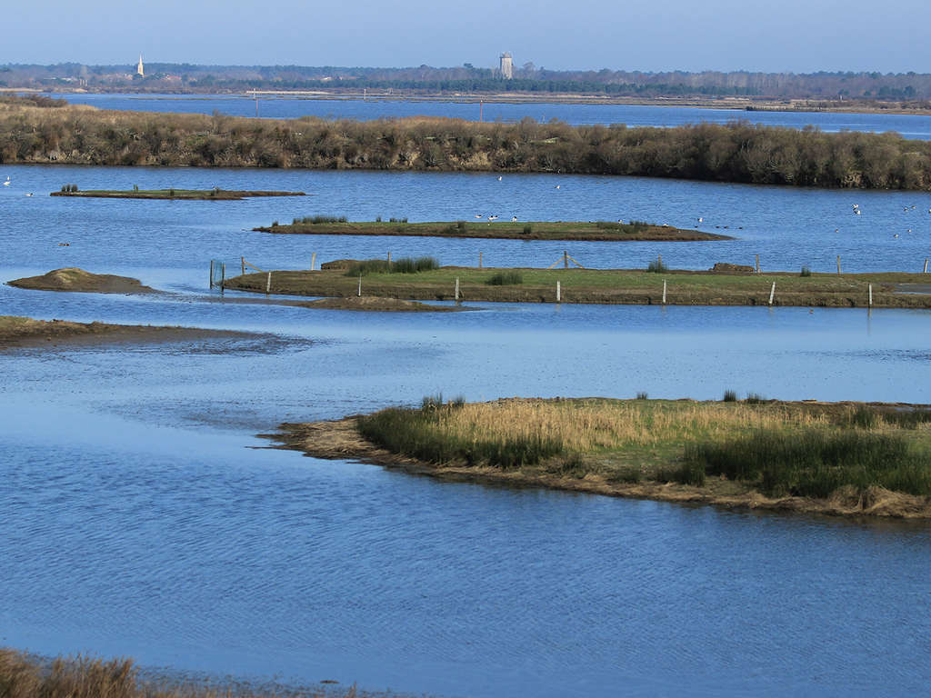 France - Atlantique Sud - Le Teich - Week-end dans le Bassin d'Arcachon - 3*