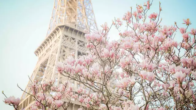 Escapada para dos a las puertas de París con crucero por el Sena