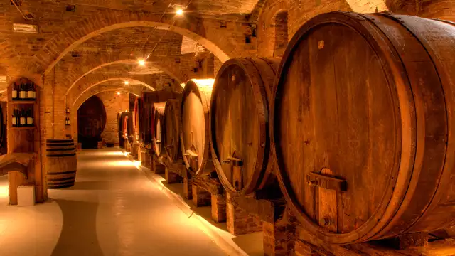 Escapade sur la route des Vins avec visite de cave et dégustation à Ribeauvillé