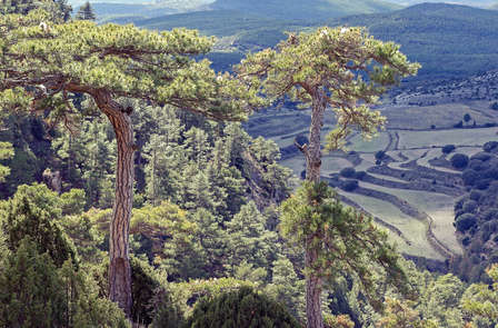 Relax et dîner dans la Sierra de Gúdar, près de Teruel