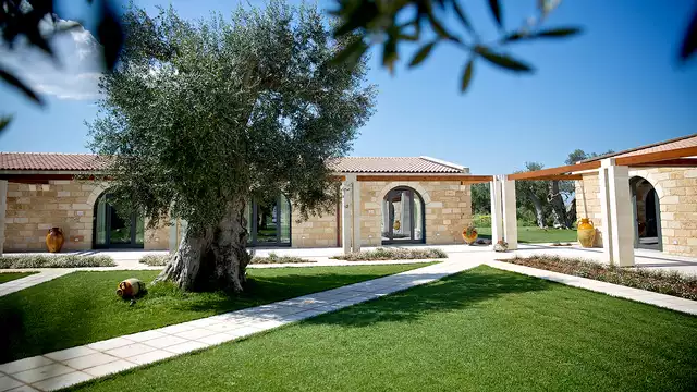 Descubre Salento: ¡Alójate en una finca típica y degusta aceites locales!