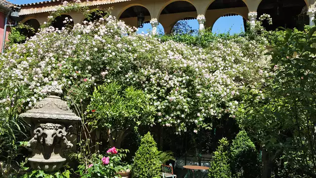 Escapade dans un jardin secret en plein coeur de Nîmes