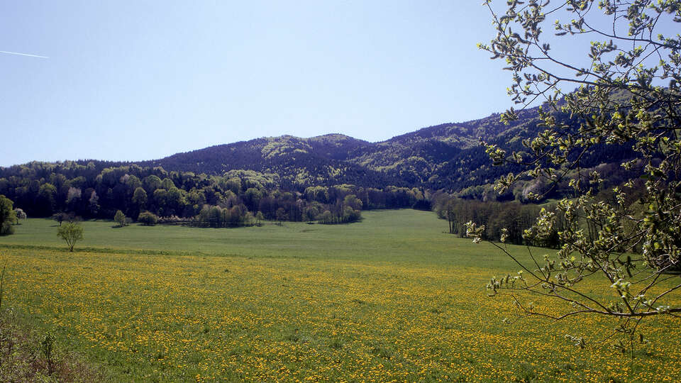 Escapade au pays des cigognes et visite du chateau de Hohlandsbourg