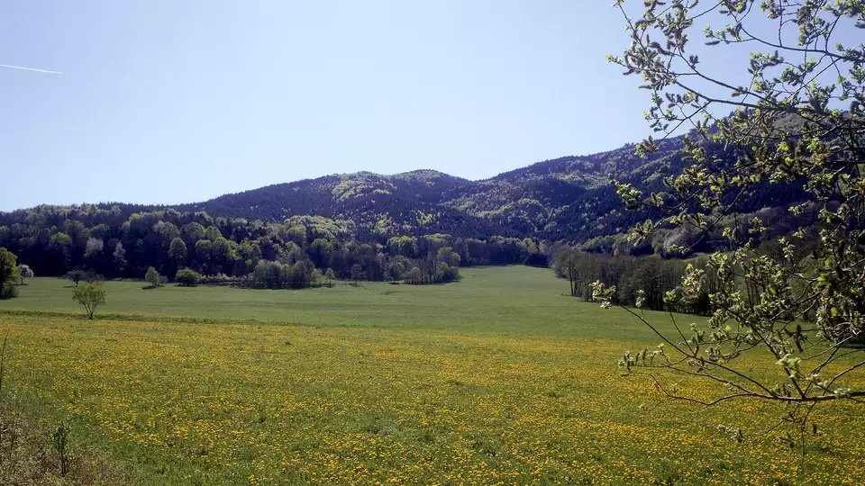 Escapade au pays des cigognes et visite du chateau de Hohlandsbourg