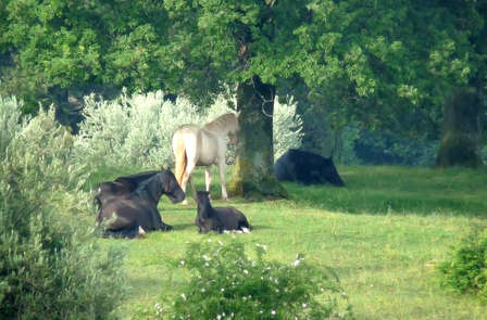 Romantisme dans un château, au coeur de la nature de l'Ombrie