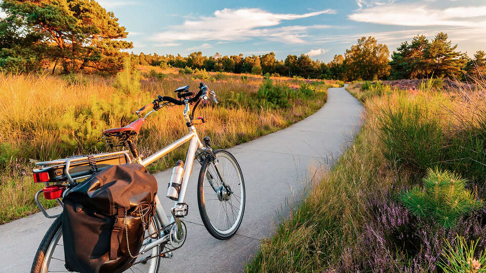 Decouvrez la Veluwe a velo a partir de nuits
