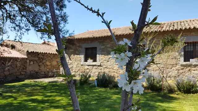 Charme rural près de la Sierra de Gredos