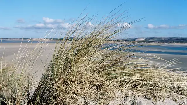 Estancia exótica en Le Touquet