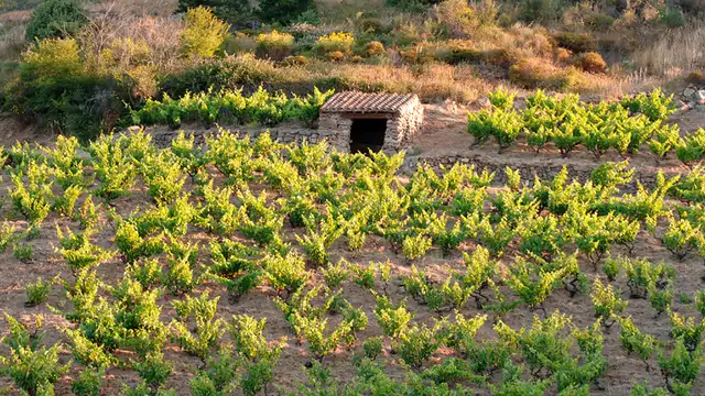 Fin de semana con encanto en plena naturaleza con spa privado cerca de Perpiñán