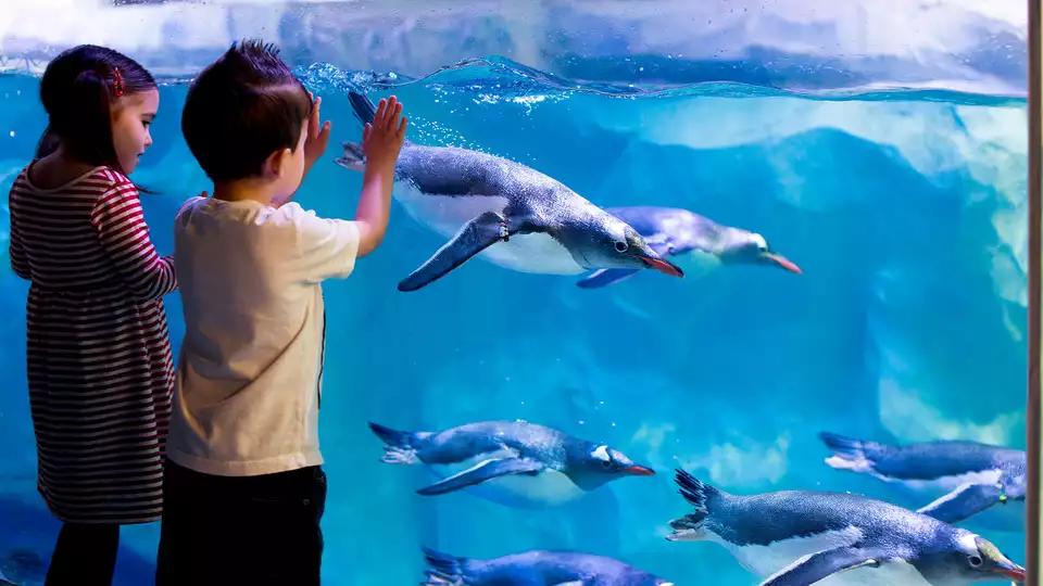 Escapada relax con entrada al acuario Sea Life en Marne-la-Vallee