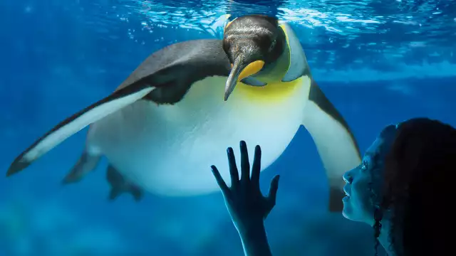 Diversión en familia con entrada al acuario Sea Life y alojamiento cerca de Disneyland Paris