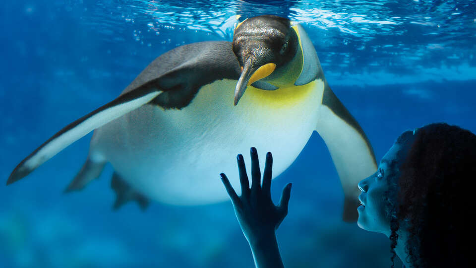 Diversion en familia con entrada al acuario Sea Life y alojamiento cerca de Disneyland Paris