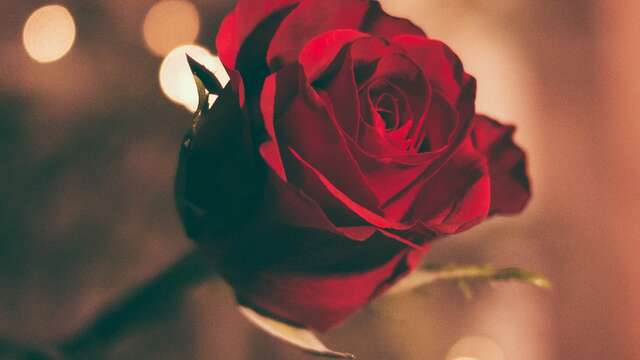 San Valentín deluxe