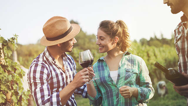 Degustaciones y catas