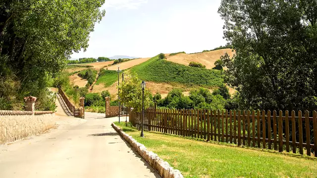 Soggiorno gastronomico in agriturismo nei pressi dei Castelli Romani!