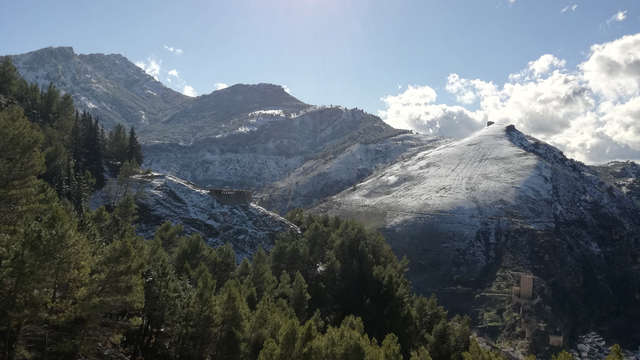 Escapada con copa de bienvenida y Visita/cata de los mejores aceites de la Almazara de Cazorla