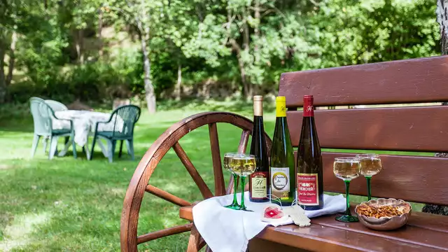 Profitez d'une escapade avec visite d'un domaine viticole au coeur de l'Alsace