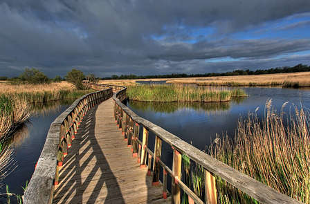 Découvrez le Parc national des Tablas de Daimiel et visitez la bodega Pago del Vicario